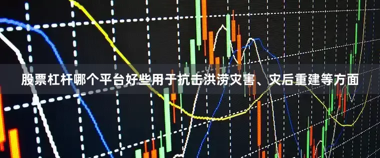 股票杠杆哪个平台好些用于抗击洪涝灾害、灾后重建等方面