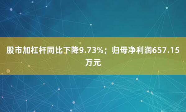 股市加杠杆同比下降9.73%；归母净利润657.15万元