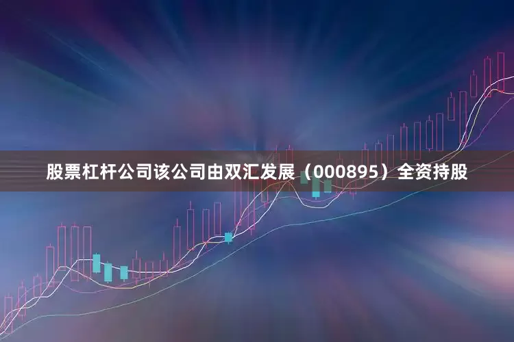 股票杠杆公司该公司由双汇发展（000895）全资持股